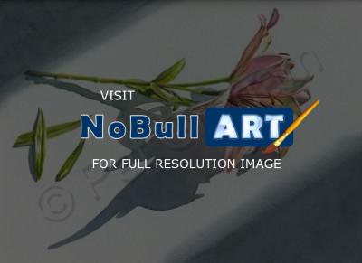 Floral - Lilies - Watercolor